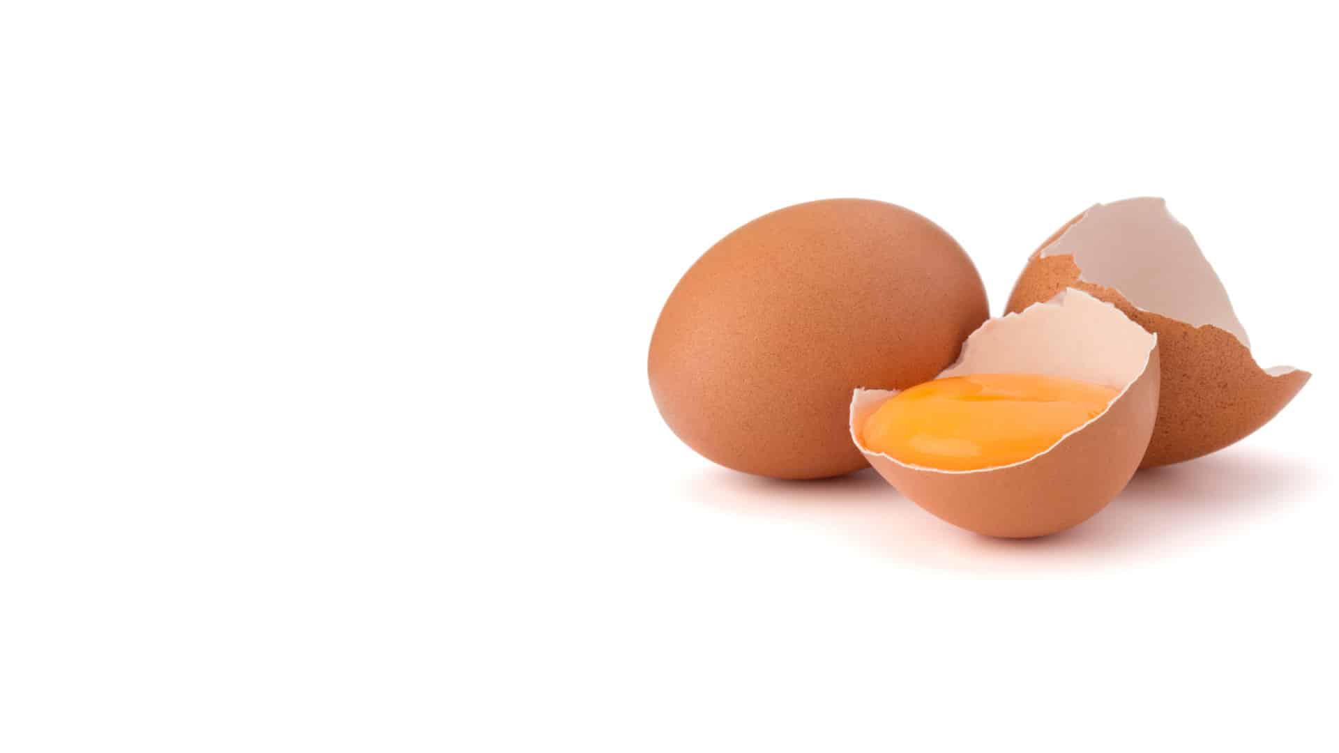 bigstock-Broken-egg-in-eggshell-half-an-157960931-kh